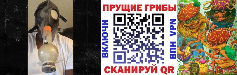 продажа наркотиков Красноармейск Псилоцибиновые грибы Psilocybe
